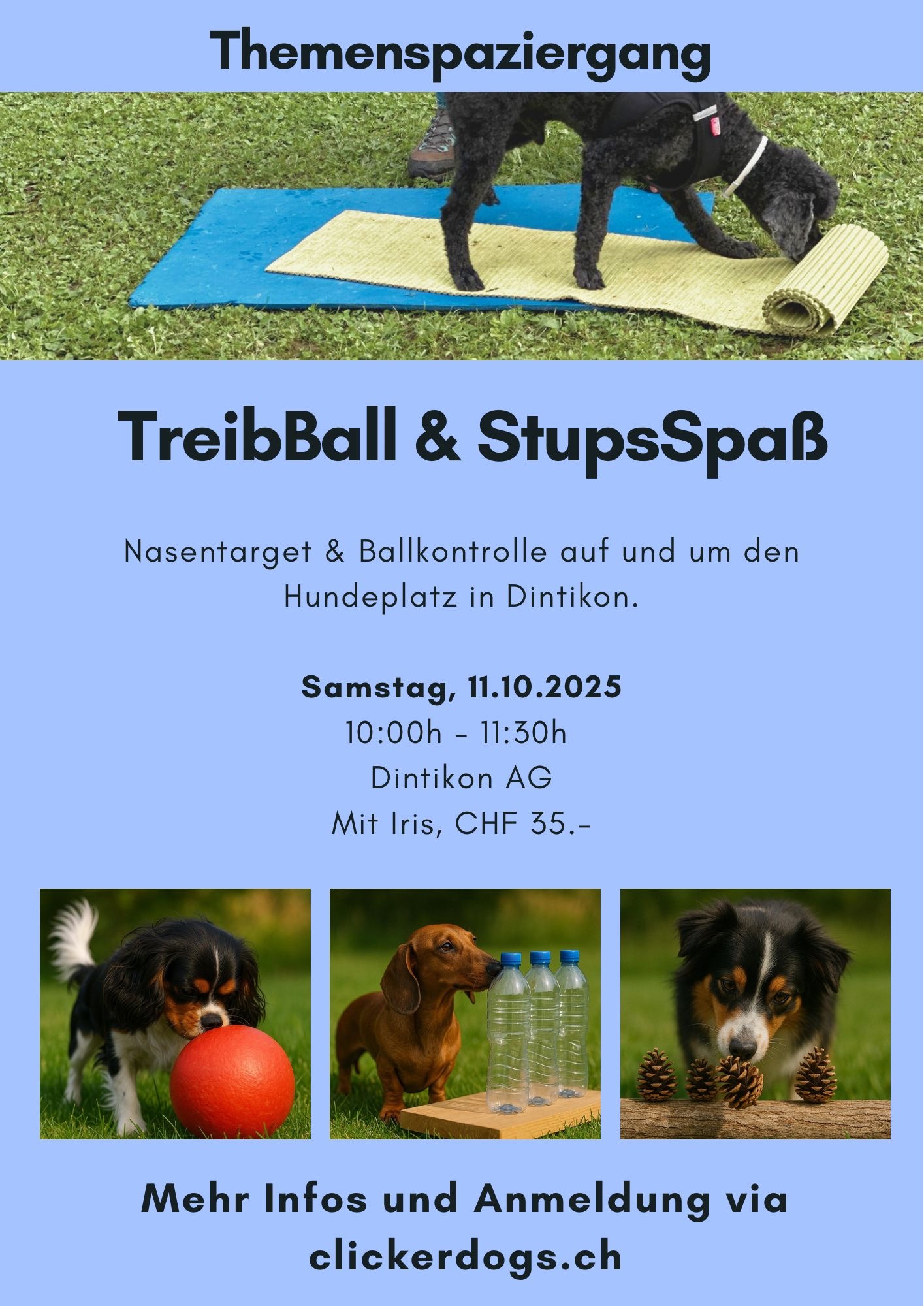 Bälle stupsen 25