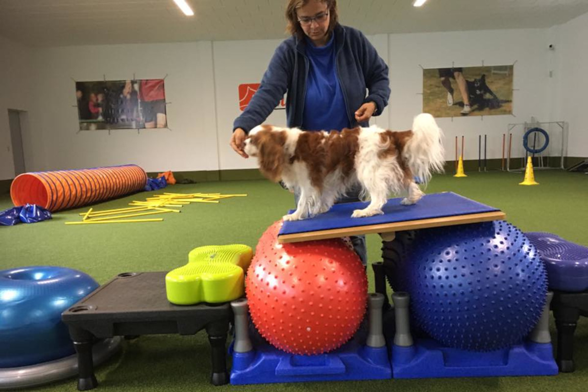 gymnastricks-foto-gallery-1