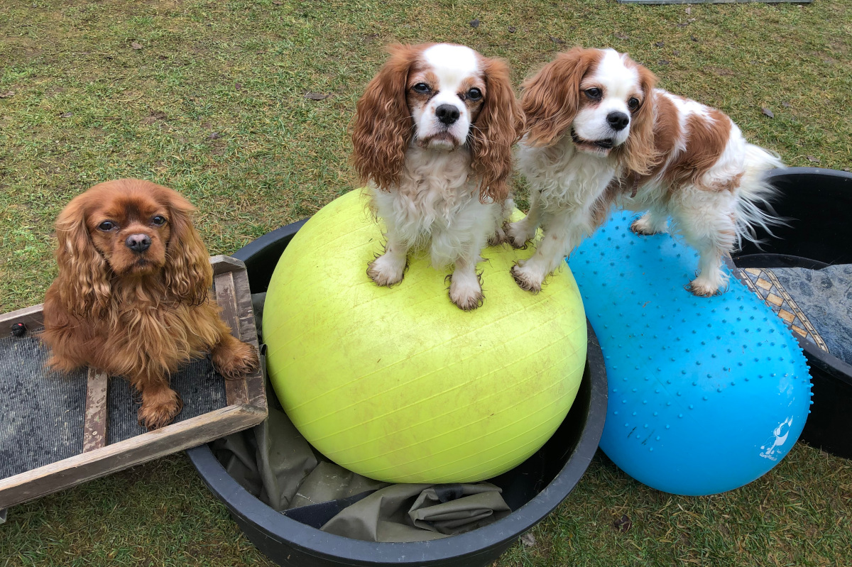 gymnastricks-foto-gallery-4