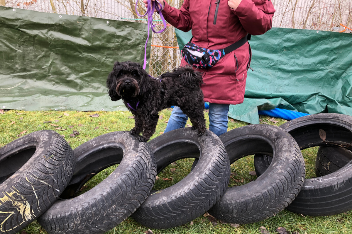 gymnastricks-foto-gallery-5