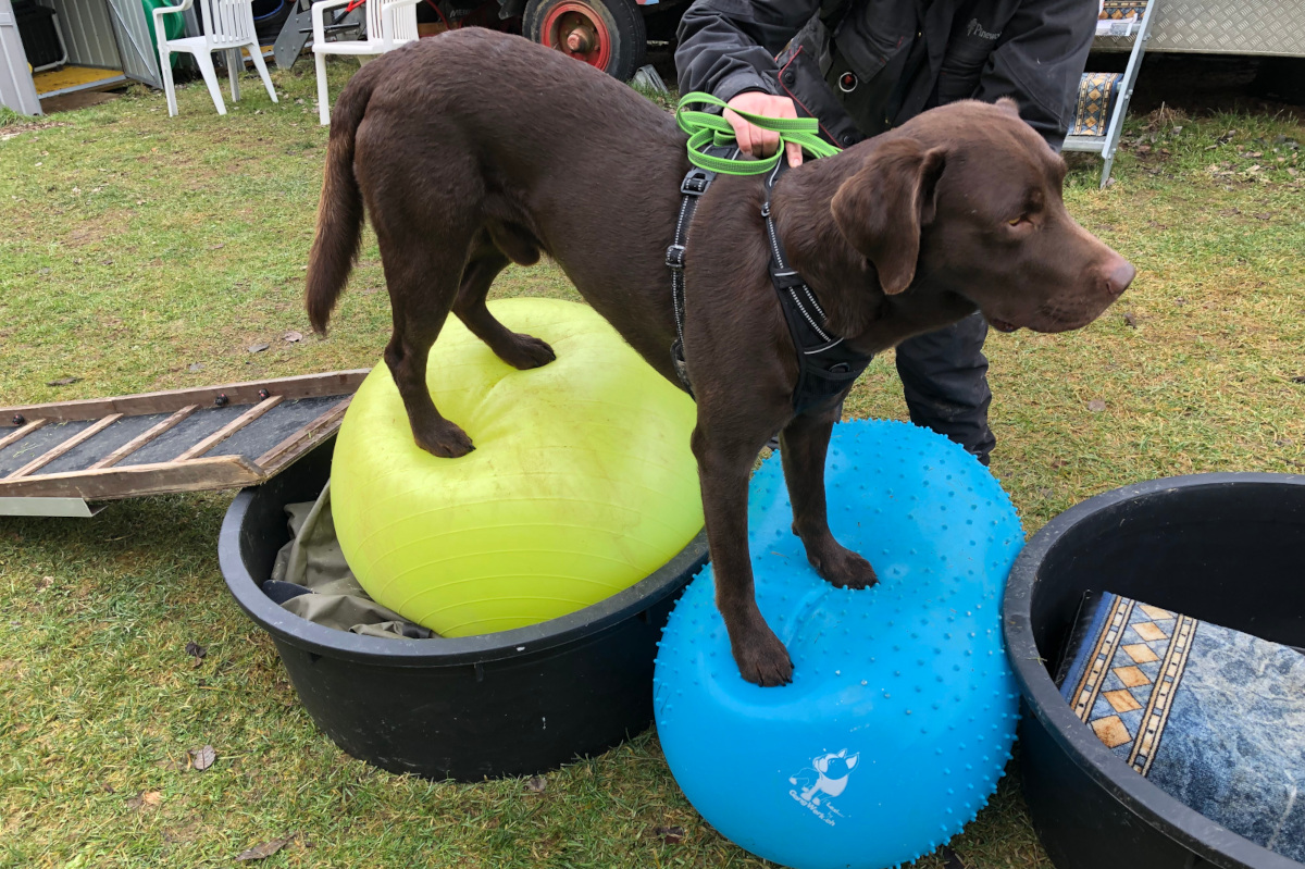 gymnastricks-foto-gallery-6