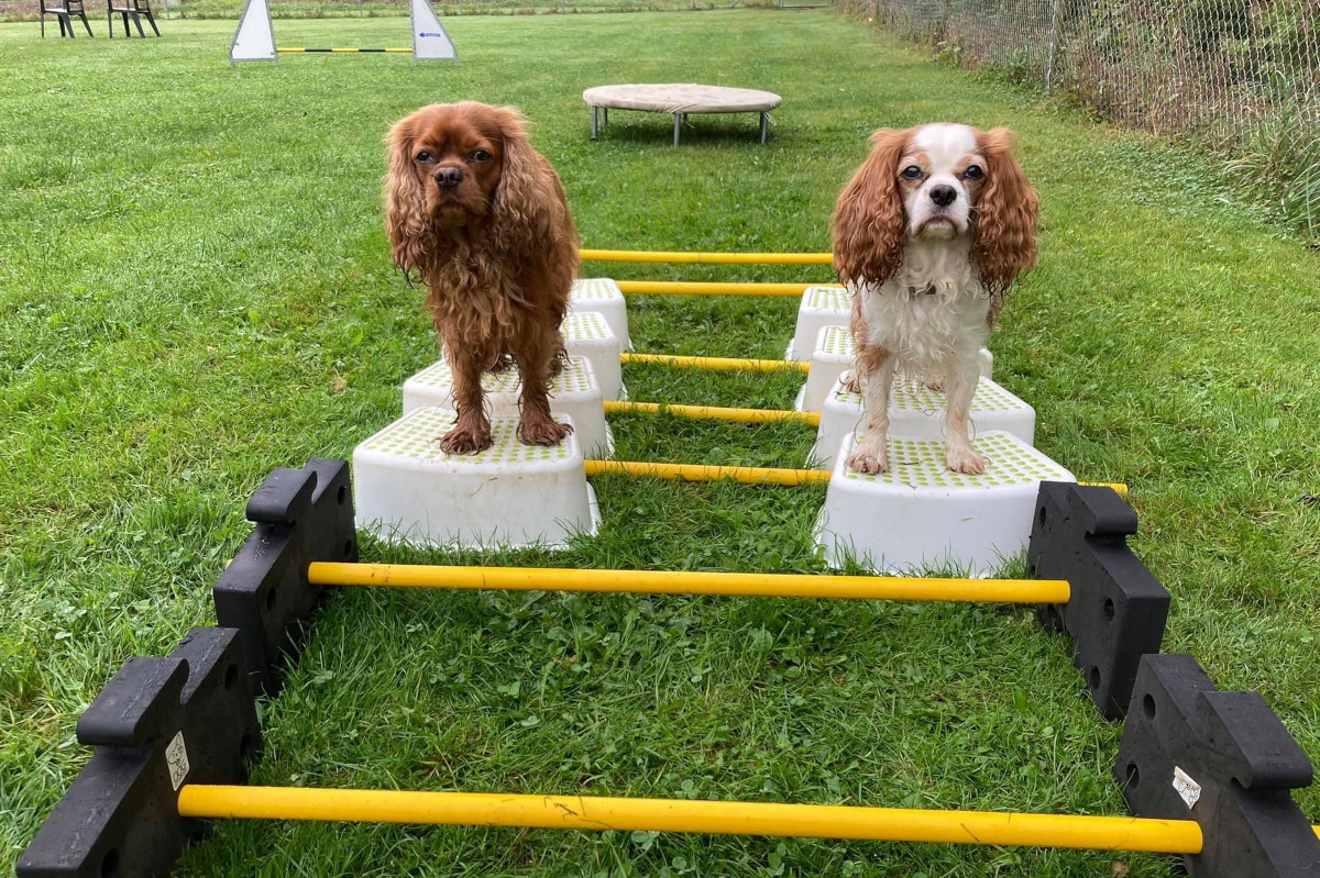 gymnastricks-foto-gallery-7