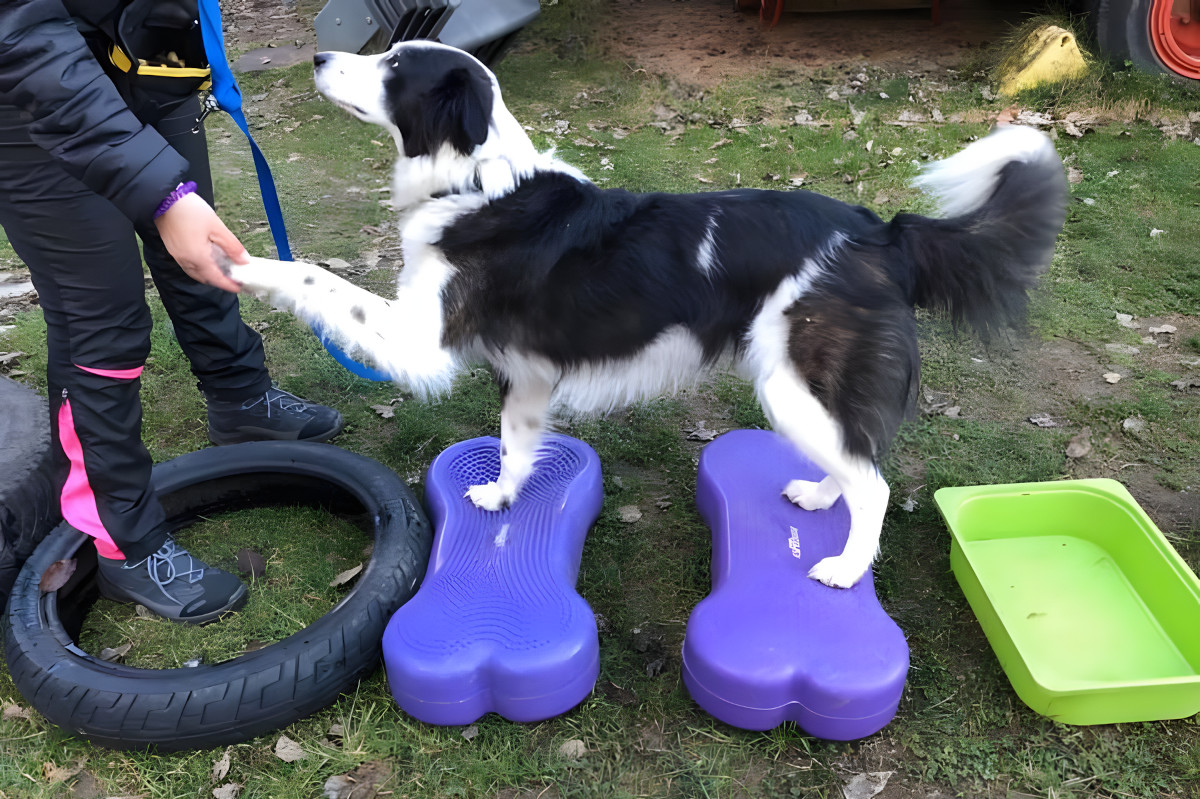 gymnastricks-foto-gallery-8