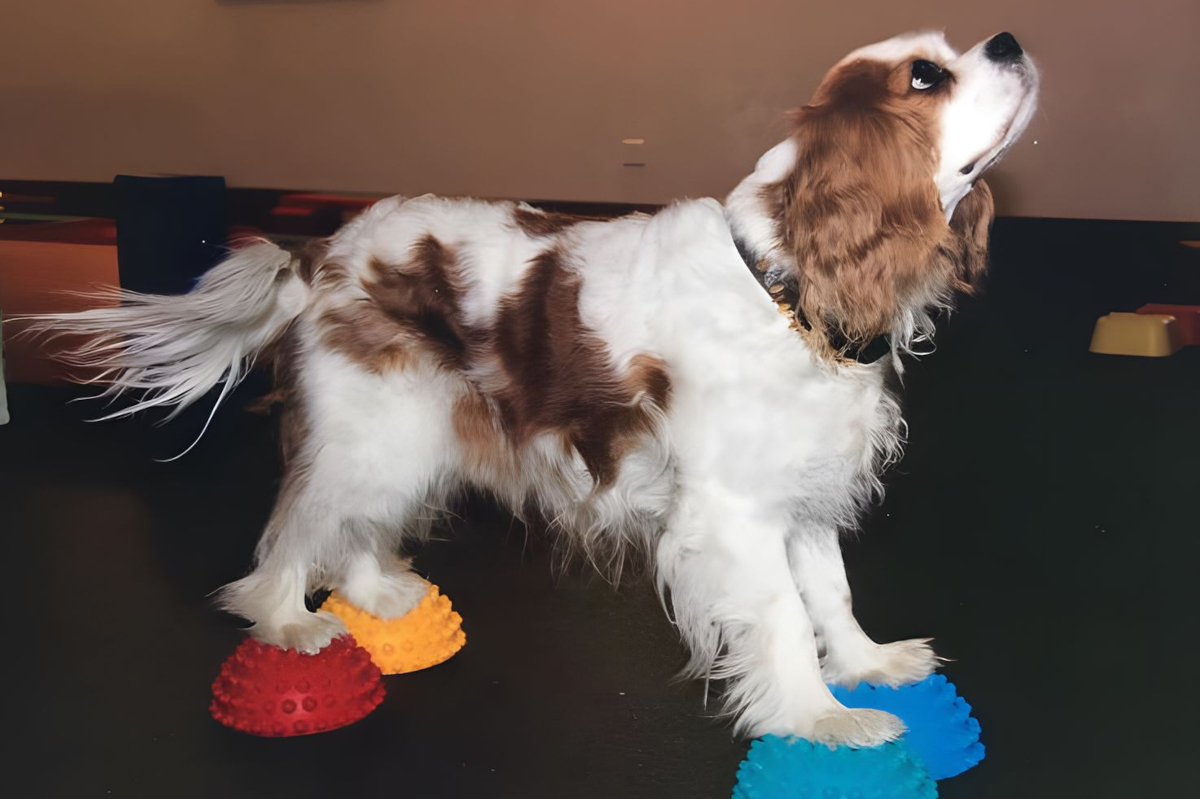 gymnastricks-foto-gallery-9