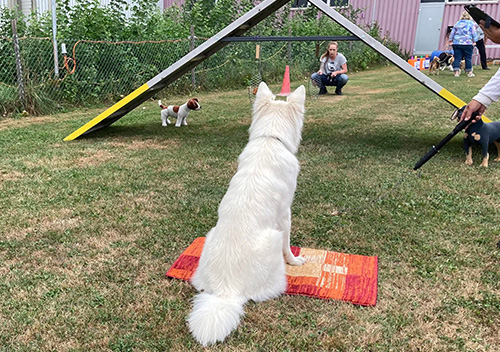 home-footer-images-1