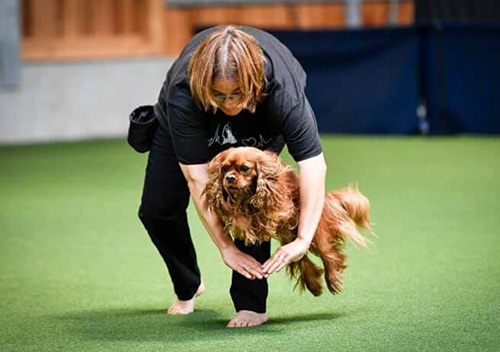 home-footer-images-2