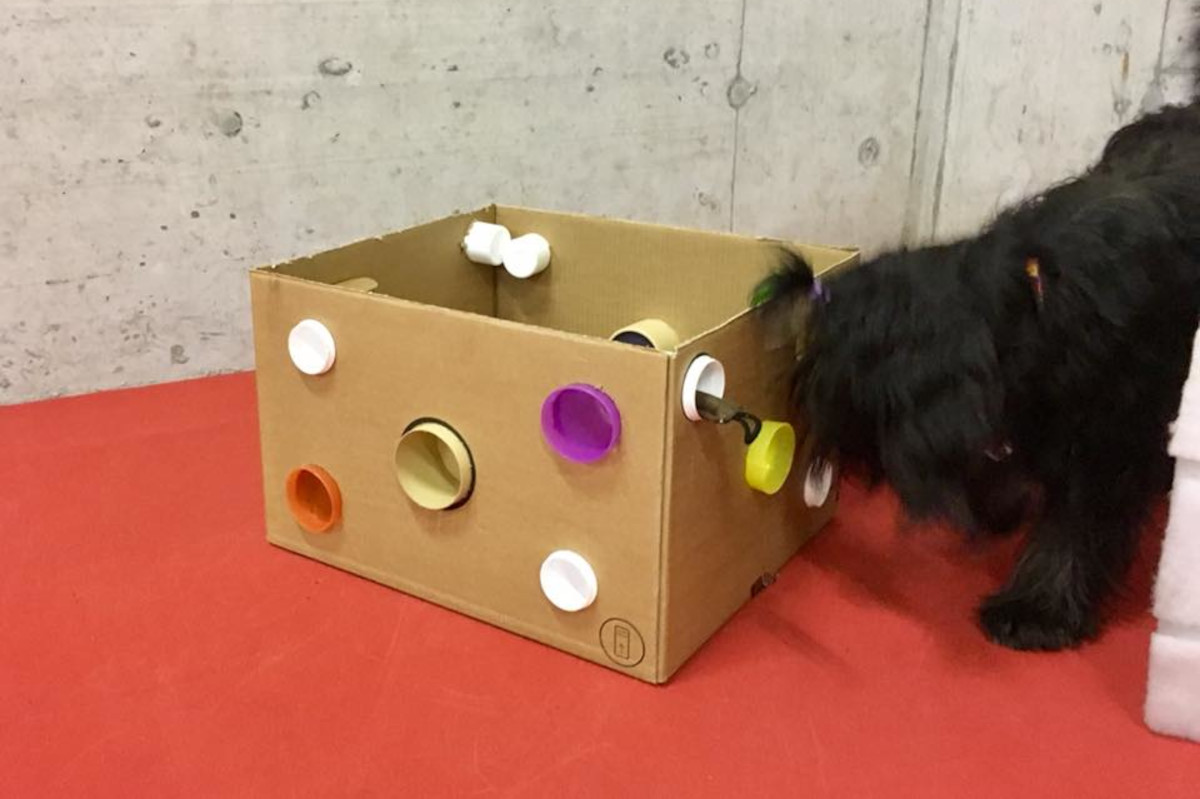 nase-im-einsatz-foto-gallery-2