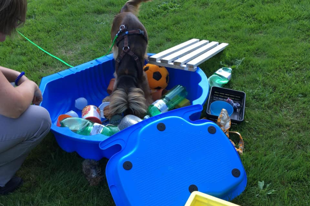 nase-im-einsatz-foto-gallery-4