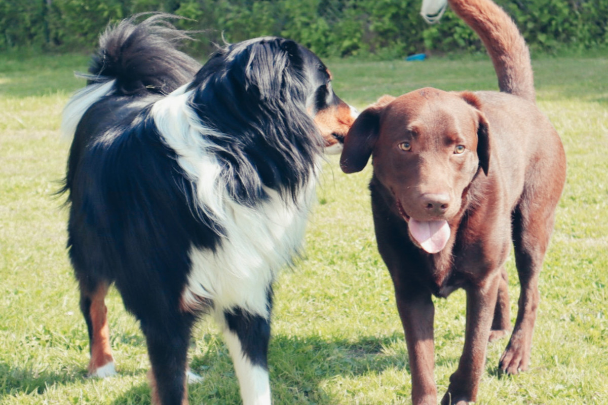 xr:d:DAFmpPDC1KU:3,j:8194693852534598854,t:23062312