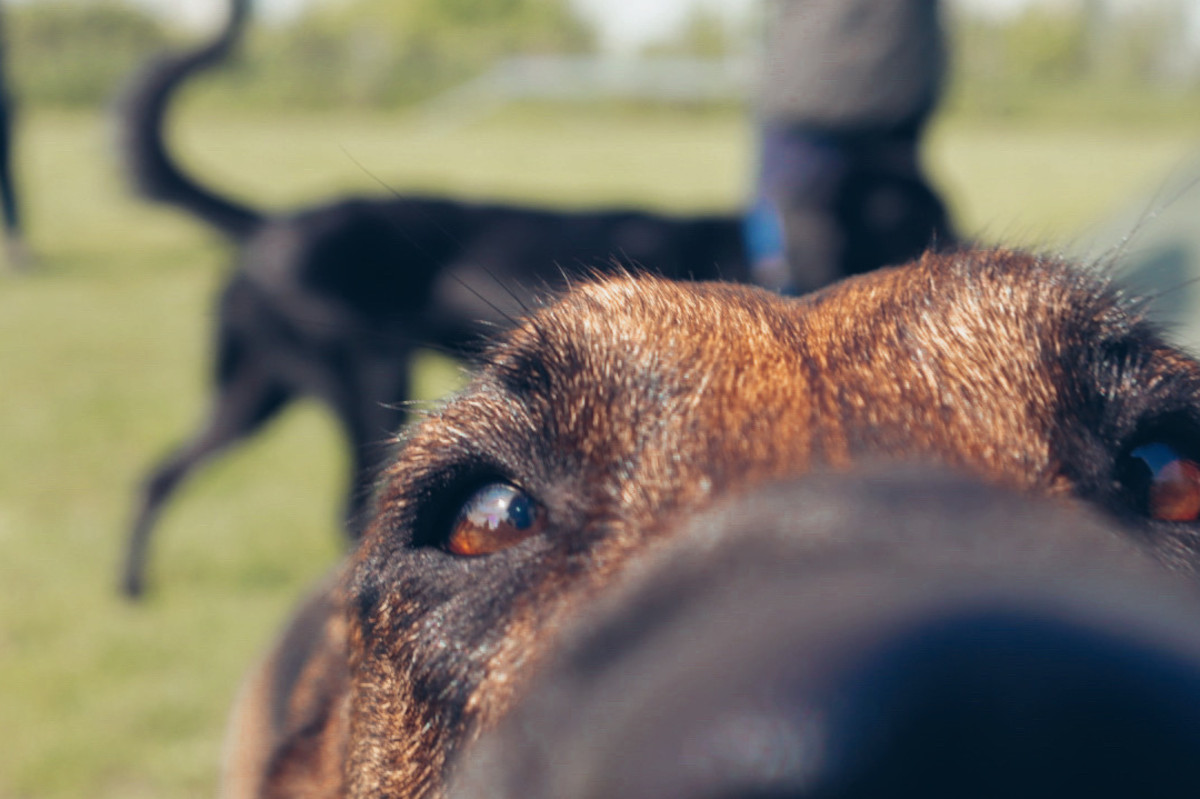 xr:d:DAFmpFfNqkA:3,j:1628445599007832309,t:23062312