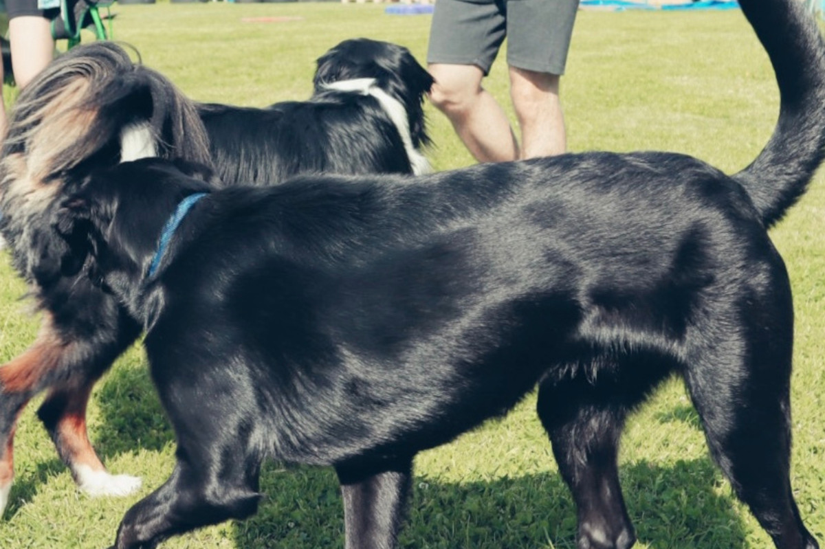 xr:d:DAFmoQCDtsA:5,j:2548305821718198490,t:23062312